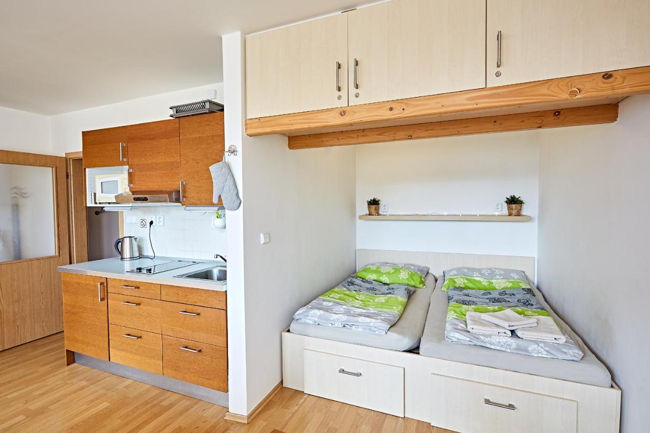 Apartman Klinovec 365 Loučná pod Klínovcem Zewnętrze zdjęcie